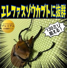 極上！プレミアム3次発酵カブトムシマット【50リットル・5袋セット