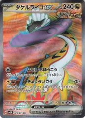タケルライコexデッキ　サポート全SR(パーツ8枚付き） タケルライコexデッキ サポート全SR(パーツ8枚付き） ポケモン