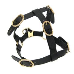 GUCCI ハーネス 新品未使用 - メルカリ