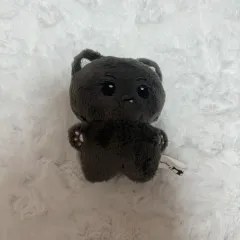 ENHYPEN(エンハイプン・エナプ) ジェイ(JAY・ジョンソン) 人形 ぬいぐるみ ぬい ゾンクラ 出品