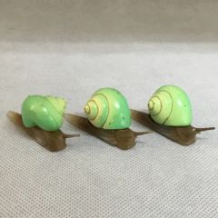 海洋堂 チョコエッグ アオミオカタニシ　3体