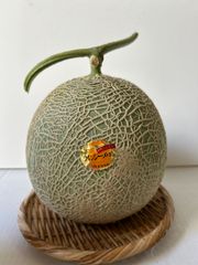 旬です！宮古島産 赤肉メロン 1玉 (約1.5kg）