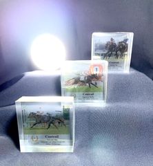 【感動と勇気を与えた伝説馬】『コントレイル』アクリルオブジェ（三冠達成Ver.）