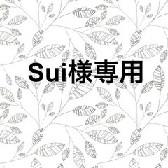 専用ページ
