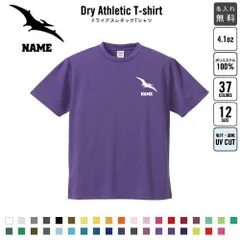 プテラノドン1  名入れ ドライTシャツ 半袖ドライシャツ お名前入り 練習着 レディース メンズ ウェア トップス 運動着 スポーツウェア ジョギング 吸汗速乾 チームTシャツ クラスTシャツ UVカット ピクトグラム 恐竜　化石　肉食　草食　雑食　海　陸
