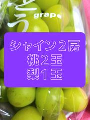 蓮蓮様専用クール便