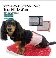 Item thumbnail for item bf5c7e07-8723-4850-82f6-f9645ed652ac