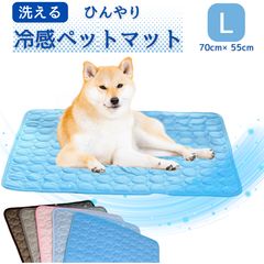 Item thumbnail for item 34d77ba1-7b75-45b4-9ce6-de6dbd27f95c