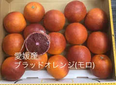 希少　熊本県産　ブラッドオレンジタロッコ 　大玉　箱込10キロ　ラスト