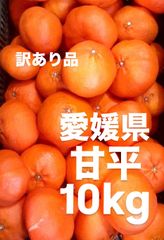愛媛県　甘平　柑橘　 10kg