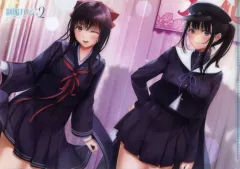 【中古】クリアファイル ゆい＆芹香 オリジナルA4クリアファイル 「PC/PS4/Switchソフト 制服カノジョ2」 ゲオ購入特典
