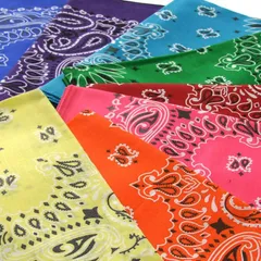 【3枚セット】HAV-A-HANK/ハバハンク アメリカ製 オリジナル ペーズリーバンダナ 新品 301-309-