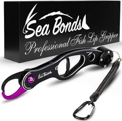 Item thumbnail for item 7307223b-c6d2-4aaa-b2a5-8f167275a8ca