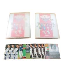 Item thumbnail for item 73a01cbb-66ad-4e1c-b1de-12a607772099