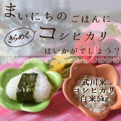 武川米コシヒカリ（精米）5kg