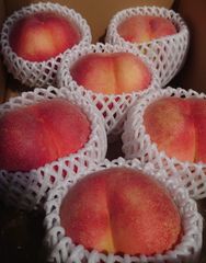 信州 長野県産  桃  大玉 6玉 甘くて美味しい💕