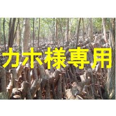 ★カホ様専用★伊豆産原木栽培干し椎茸３種６品と旨煮２袋★