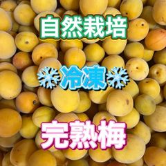 和歌山県産 家庭用❗完熟南高梅‼️L～Mサイズ混合‼️2kg みかん