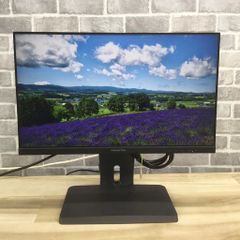 液晶ディスプレイ ワイド 23.8インチ 1920x1080 プリンストン 