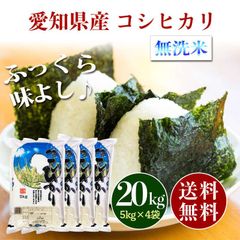 愛知県産 コシヒカリ 無洗米 20kg お米 20キロ
