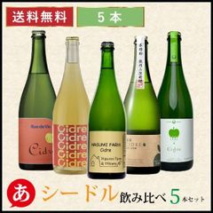 日本ワイン セット 【りんごのワイン シードル 飲み比べ５本セット】送料無料 スパークリング 白ワイン 国産 長野 新潟 林檎 リンゴ リュードヴァン カーブドッチ はすみふぁーむ のらのらふぁーむ 信濃 大池 ワイン Japanese wine 酒 飲料