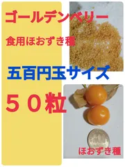 2025年最新】食用ほおずきの人気アイテム - メルカリ