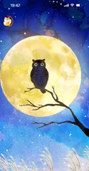【XXLサイズ】