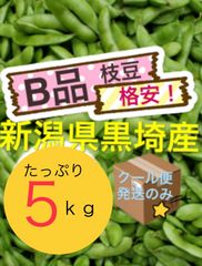 枝豆　格安【B品お腹いっぱい5kg】農家直送　新潟県黒埼産　えだまめ