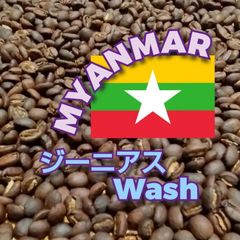 ミャンマー ジーニアス ウォッシュ★スペシャリティコーヒー　100g入り★ミャンマー珈琲豆★自家焙煎コーヒー豆★アイスコーヒー★エムリバーサイドコーヒー