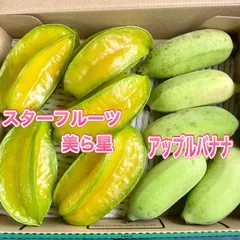 2025年最新】ナムワ系バナナの人気アイテム - メルカリ