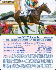 【中古】スポーツ No.2506：レーベンスティール