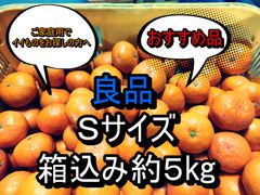 良品　箱込み約5kg　Ｓサイズ