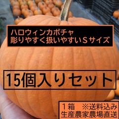 ハロウィン ジャックオーランタン用かぼちゃ １５個１箱 Sサイズ1kg台 カボチャ専門農家農場直送