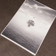 S5592) 空白ごっこ 開花 初回限定盤 amazon.co.jp限定オリジナル