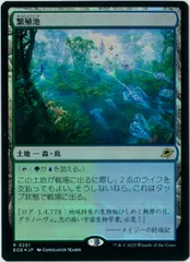 2025年最新】繁殖池 FOILの人気アイテム - メルカリ