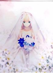 B0サイズタペストリー Fate アルトリアセイバー ウェディングドレス