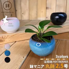 2026年最新】盆栽鉢 中国の人気アイテム - メルカリ