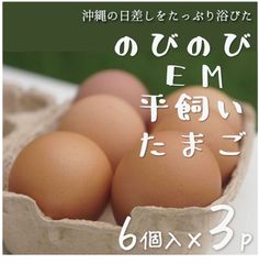 平飼い卵 沖縄の日差しを浴びてのびのびとすごす鶏のＥＭ平飼いたまご16個＋2個割れ保障(6×3p)