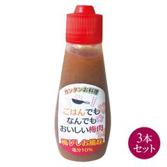 紀州南高梅　ごはんでもなんでもおいしい梅肉3本セット　梅びしお　ねり梅