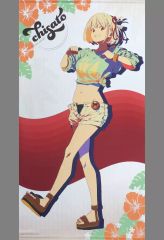 [중고] 태피스트리 니시키 치다카 등신대 태피스트리 [리콜리스·리코일전 ~seize the day~ 피날레] 수주 생산 한정