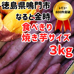 なると金時さつまいも 焼き芋サイズ【3kg】 徳島県鳴門市里浦産 生産者直送