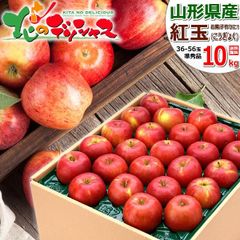【予約/10月上旬(10月3日)頃～出荷予定】 山形県産 ご家庭用 りんご 紅玉 10kg (準秀品/36玉～56玉入り) こうぎょく リンゴ 林檎 ご自宅用 ご家庭用 お家用 お得 お買い得 果物 フルーツ 山形県 山形県直送 グルメ お取り寄せ