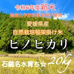 自然栽培　農薬化学肥料不使用 令和6年度新米　愛媛県産ヒノヒカリ稲架掛け米20k