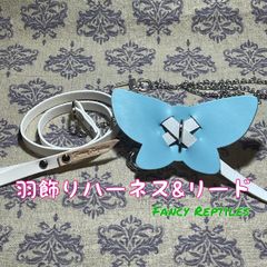 フトアゴヒゲトカゲ用羽飾りハーネス&リード フェアリー