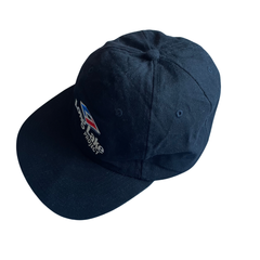 LONG LAKE PROJECT CAP