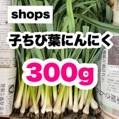 【農家直送】子ちび葉にんにく 300g 即購入OK wts