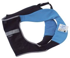 Item thumbnail for item 31468c2a-6e2d-4631-ab3d-7fe7e49744ee