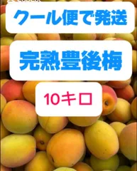 完熟豊後梅 ，Lサイズ以上 .  10キロ箱込み(7月中旬から順次発送予定)