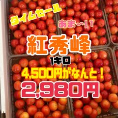 18050483_5