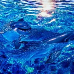 2025年最新】アールビバン版画の人気アイテム - メルカリ